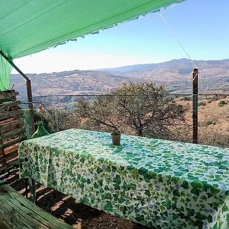 La Fattoria Di Gio' E Lory Hotel Grottole Luaran gambar